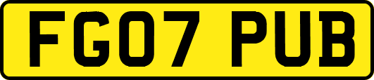 FG07PUB
