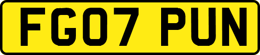 FG07PUN