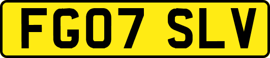 FG07SLV