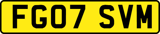 FG07SVM