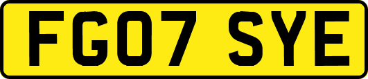 FG07SYE