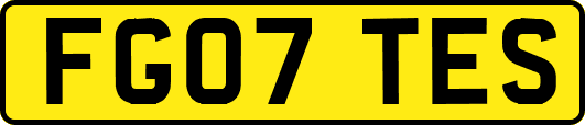 FG07TES