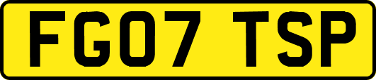 FG07TSP