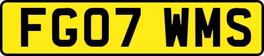 FG07WMS