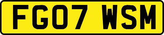FG07WSM