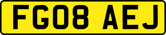 FG08AEJ