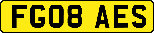 FG08AES