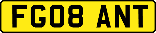 FG08ANT