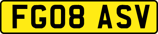 FG08ASV