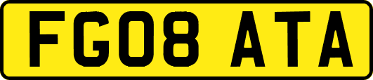 FG08ATA