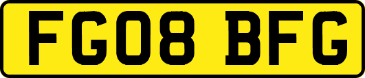 FG08BFG