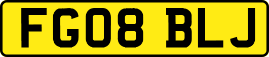 FG08BLJ
