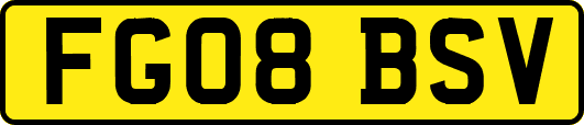 FG08BSV