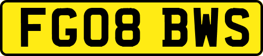 FG08BWS