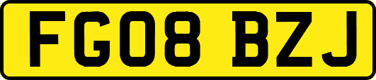 FG08BZJ