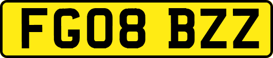 FG08BZZ