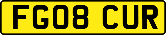FG08CUR