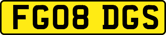 FG08DGS