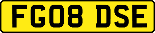 FG08DSE