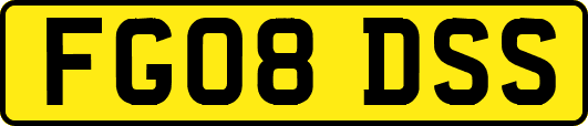 FG08DSS