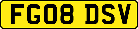 FG08DSV