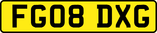 FG08DXG