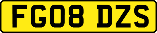 FG08DZS