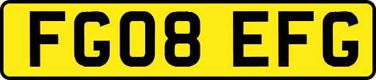 FG08EFG