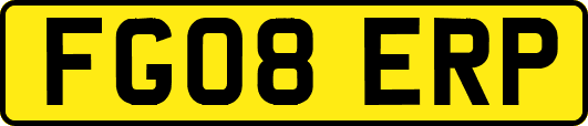 FG08ERP