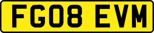 FG08EVM