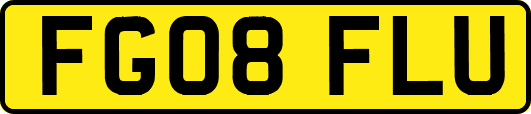 FG08FLU