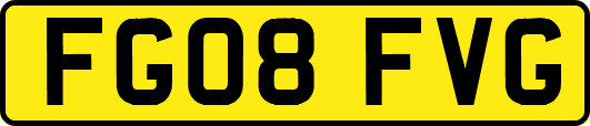 FG08FVG