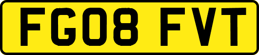 FG08FVT