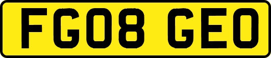 FG08GEO