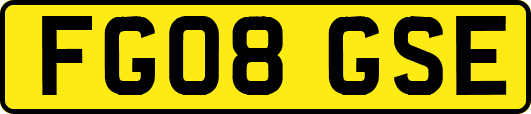 FG08GSE