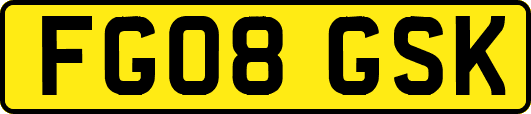FG08GSK