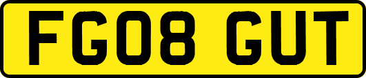 FG08GUT