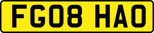 FG08HAO
