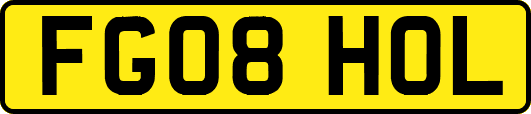 FG08HOL