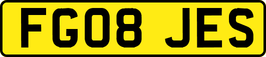 FG08JES