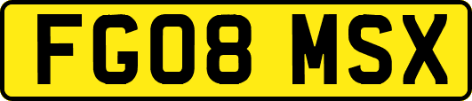 FG08MSX