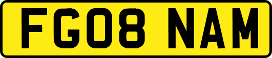 FG08NAM