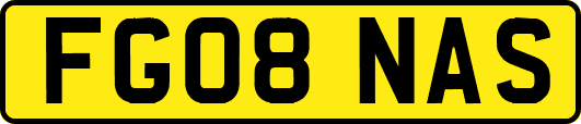 FG08NAS