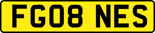 FG08NES