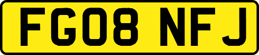 FG08NFJ