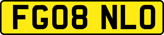 FG08NLO