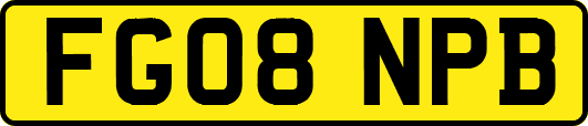 FG08NPB
