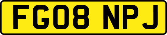 FG08NPJ