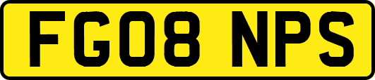 FG08NPS