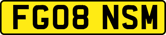FG08NSM